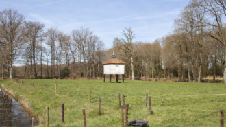 Rijksdienst voor het Cultureel Erfgoed: Sar, Wouter van der