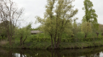 Rijksdienst voor het Cultureel Erfgoed