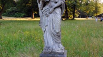 WikiMedia