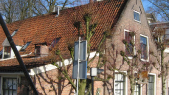WikiMedia