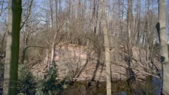 Rijksdienst voor het Cultureel Erfgoed: Heins, IJ.Th.