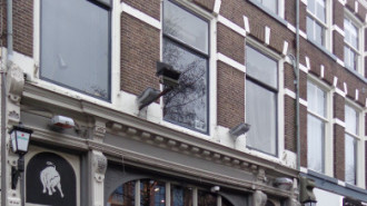 WikiMedia