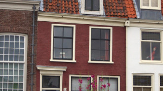 WikiMedia
