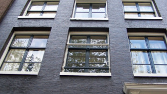 WikiMedia