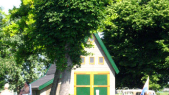 WikiMedia