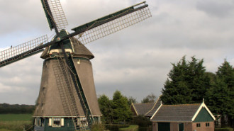WikiMedia