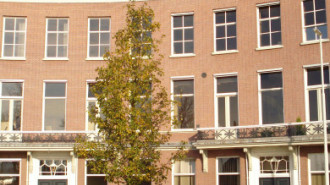 WikiMedia