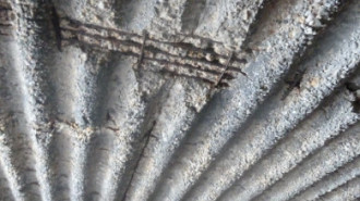 Rijksdienst voor het Cultureel Erfgoed: Bogers, Guido