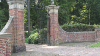 WikiMedia