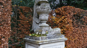 WikiMedia