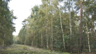 Rijksdienst voor het Cultureel Erfgoed