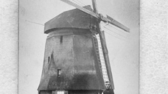 Rijksdienst voor het Cultureel Erfgoed: Rozema, J.