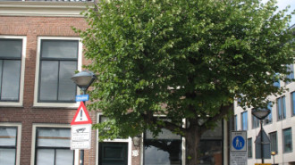 WikiMedia