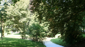 WikiMedia