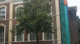 WikiMedia