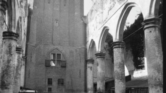 WikiMedia