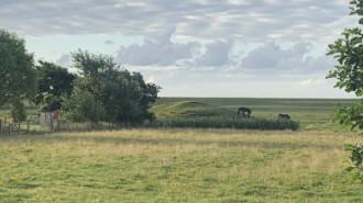 Rijksdienst voor het Cultureel Erfgoed: Bogers, Guido
