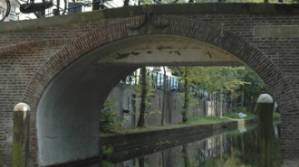 WikiMedia