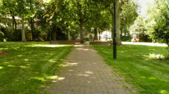 WikiMedia