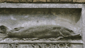 Rijksdienst voor het Cultureel Erfgoed: Ferro, F.