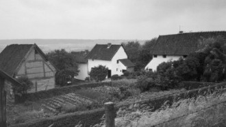 Rijksdienst voor het Cultureel Erfgoed: Delemarre, G.Th.