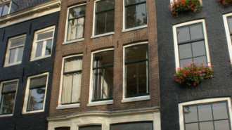 WikiMedia