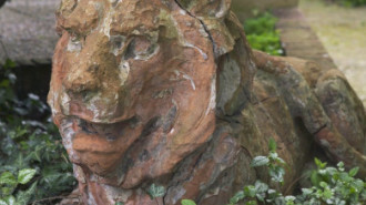 Rijksdienst voor het Cultureel Erfgoed: Galen, P. van