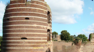 WikiMedia