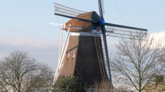 WikiMedia