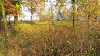 Rijksdienst voor het Cultureel Erfgoed: Brinkkemper, O. (Otto)