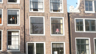 WikiMedia