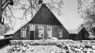 WikiMedia