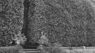 Rijksdienst voor het Cultureel Erfgoed: Wal, A.J. van der