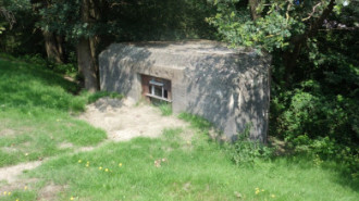 WikiMedia