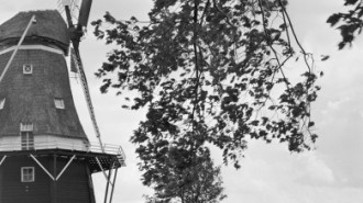 Rijksdienst voor het Cultureel Erfgoed: Wal, A.J. van der