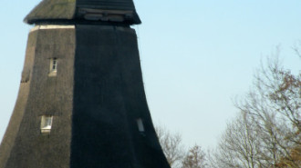 WikiMedia