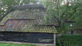 WikiMedia