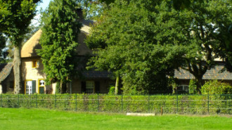 WikiMedia