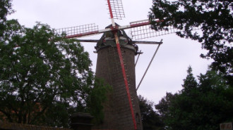 WikiMedia