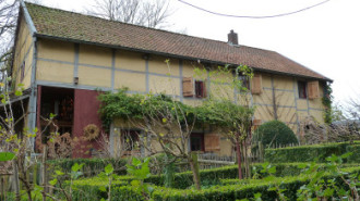 WikiMedia