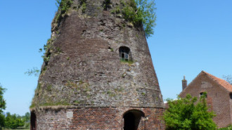 WikiMedia