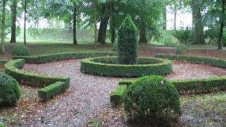 WikiMedia