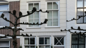 Rijksdienst voor het Cultureel Erfgoed: Brinkkemper, O. (Otto)