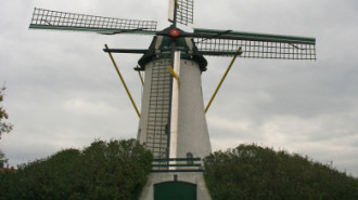 WikiMedia