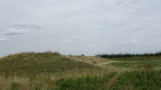 WikiMedia