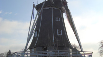 WikiMedia