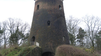 WikiMedia