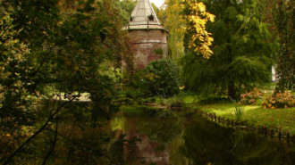 WikiMedia