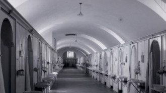 Rijksdienst voor het Cultureel Erfgoed: Brinio