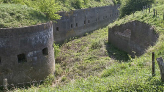 WikiMedia